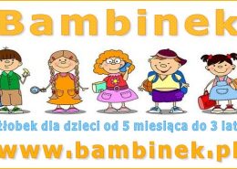 Niepubliczny Żłobek Bambinek