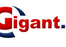 Sklep internetowy Gigant.pl